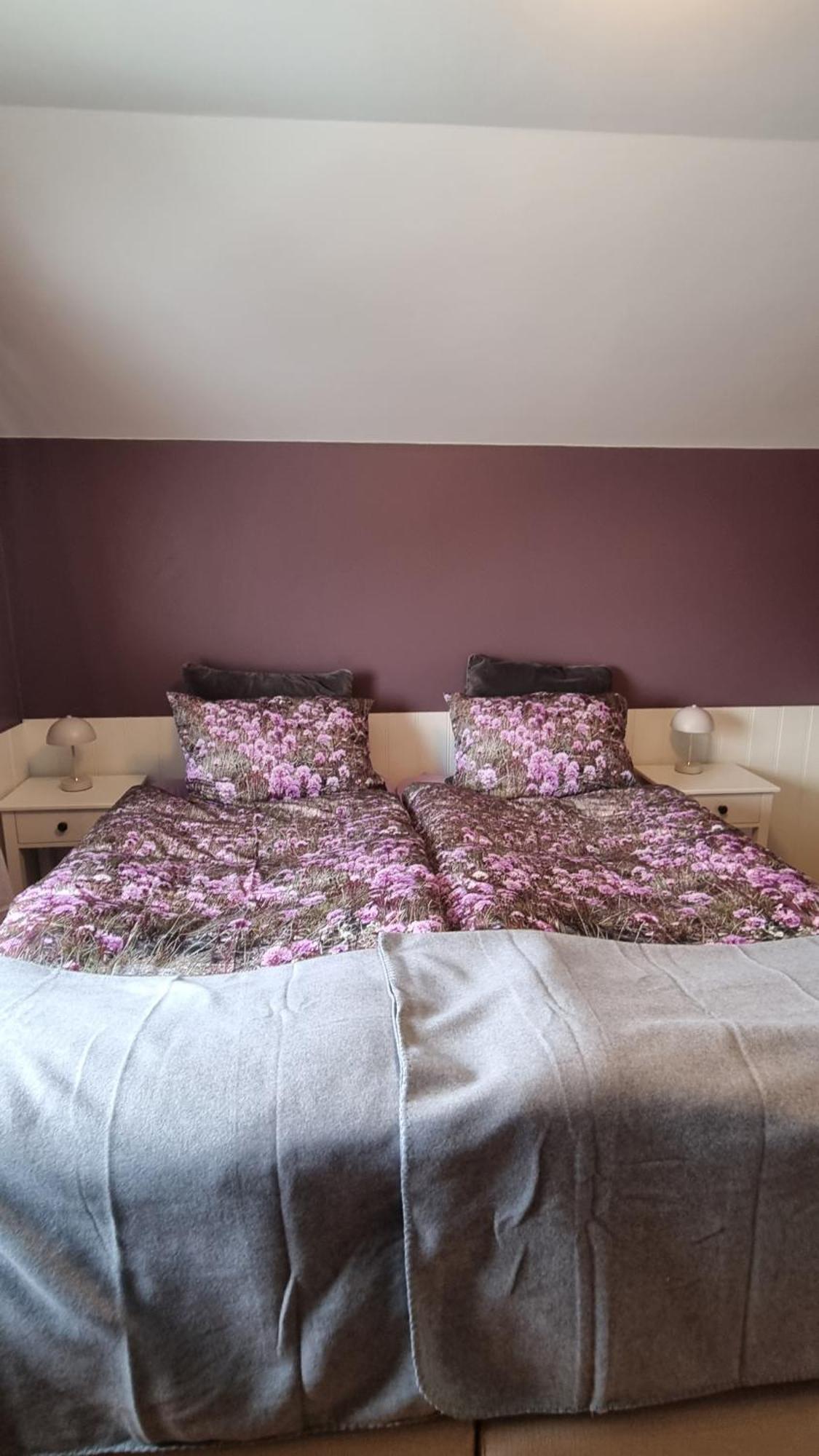 Fornilaekur Guesthouse Blonduos Εξωτερικό φωτογραφία