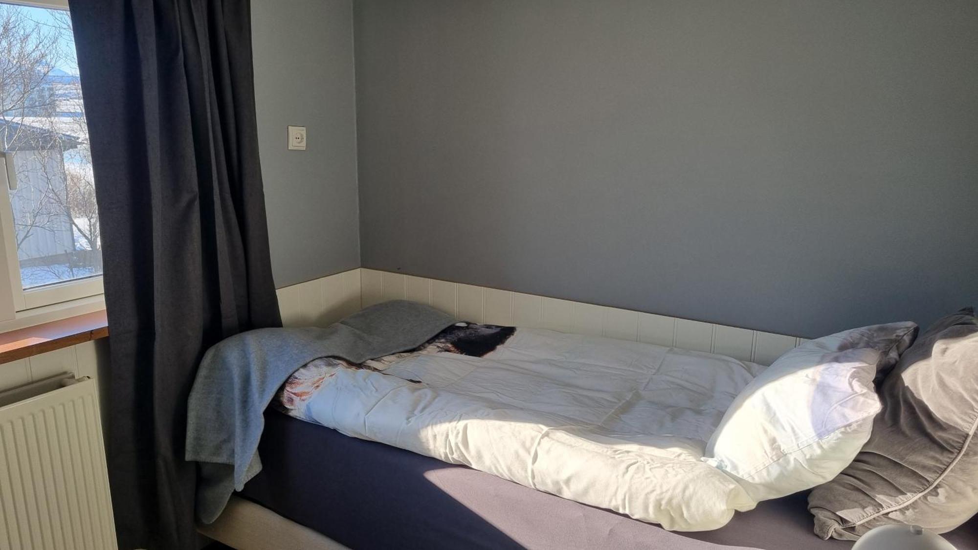 Fornilaekur Guesthouse Blonduos Εξωτερικό φωτογραφία
